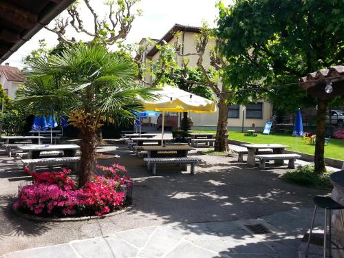 Osteria Belvedere - image 10