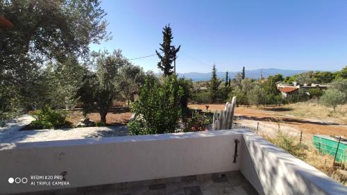 Panorama, Eretria (photo 10)