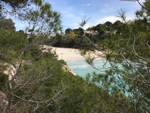 Ses Gavines-Cala Anguila Apartments