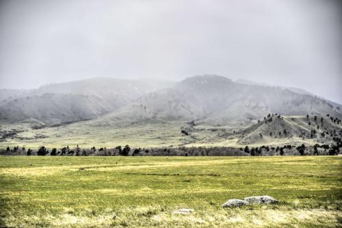 Adorable, Historic Apt Near Bighorn Mountains