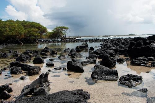 Chez Manany Galapagos Ecolodge