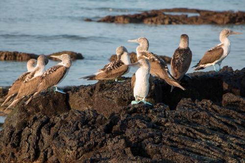 Chez Manany Galapagos Ecolodge