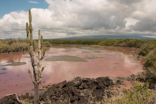 Chez Manany Galapagos Ecolodge