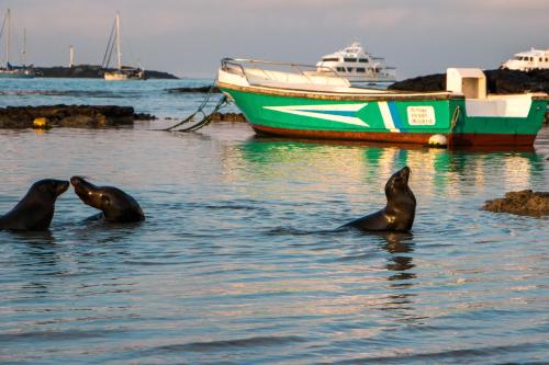 Chez Manany Galapagos Ecolodge