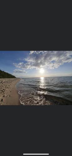Tadeo, Kołczewo (foto 4)