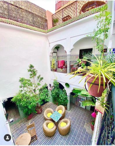Riad Sijane - image 5