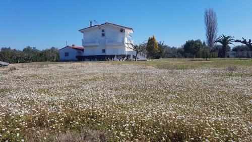 Silver villa Raches maisonette & Green