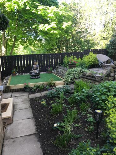 Darceys in the Yard