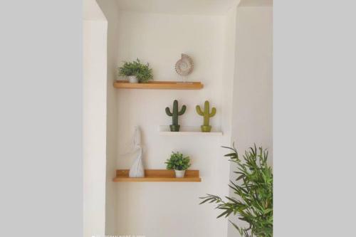 Adela Beach Apartment, lujo en 1ª linea de playa