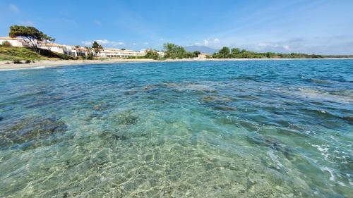 Résidence Marina Di Bravone - Location saisonnière - Linguizzetta