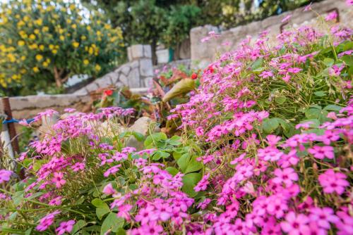 Apartments Ana S - image 8