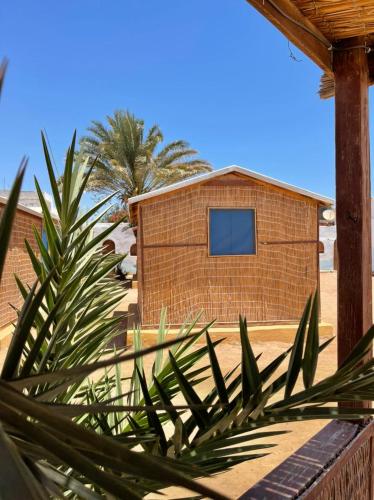 Dolphin Camp, Dahab (foto 10)