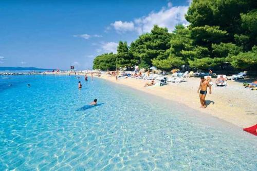 Brand new! Chic apartment Zoja near beach