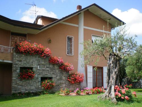 Nel Giardino Degli Ulivi - Apartment - Castelnuovo Magra