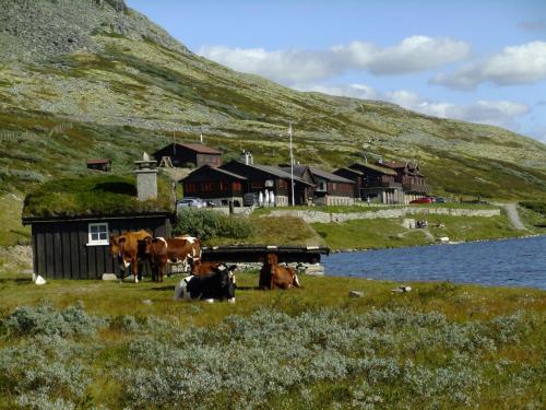 Smuksjøseter Fjellstue - Hotel - Høvringen