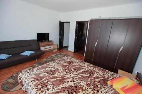 Casa Lucian - image 4