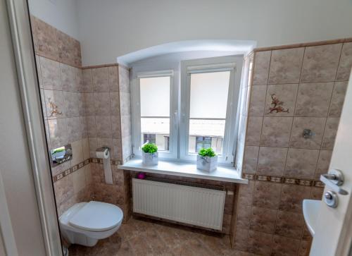 One-Bedroom Apartment image 6