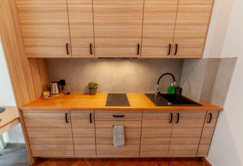One-Bedroom Apartment image 8
