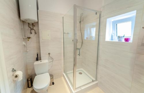 One-Bedroom Apartment image 5