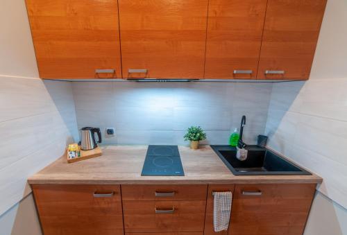 One-Bedroom Apartment image 10