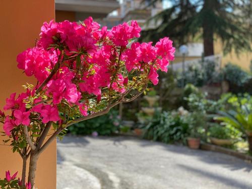 Olympic Suite Roma - image 14