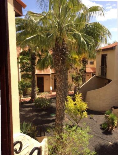 oasis RELAX Corralejo in Parque Holandes