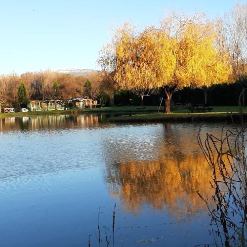 Les Iris - Domaine du Lac de la Vallée