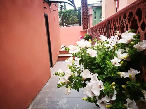 Pink House Garden 3