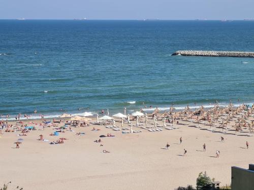 Beach, Turquoise by the sea in Constanta