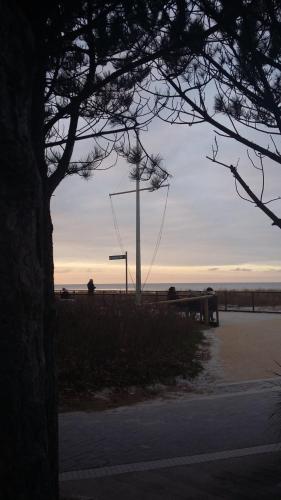 *Strandaster* in Zingst - 100 m bis Strand, ruhig, zentral., Zingst (Foto 2)