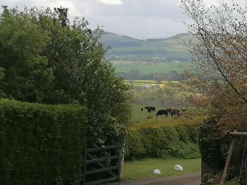 Hay Farm House - image 3
