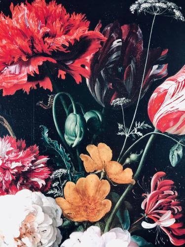 BnB Bruxelles - Studios & Apartments BnB Bruxelles - Studios & Apartments