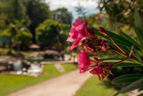 Rancho do Zé João