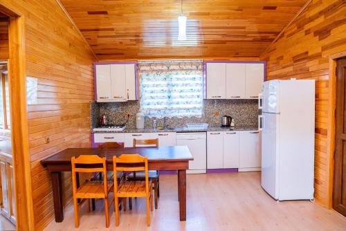 Ikiz Villas - image 2
