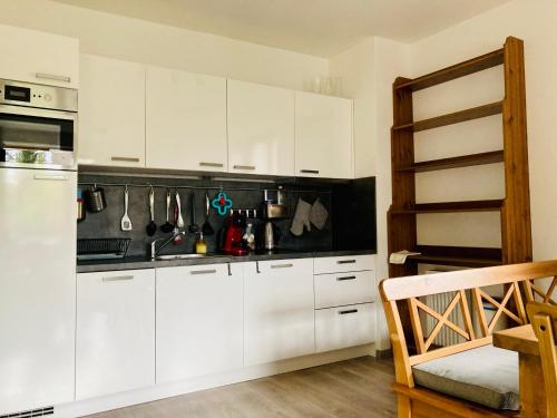 Konyha, Apartmány 50 (Apartmany 50) in Bedrichov U Jablonce Nad Nisou