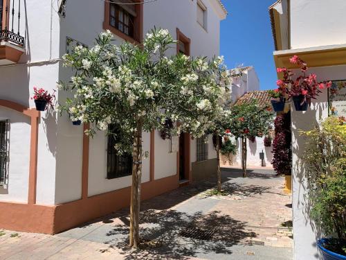 Mi Casita de Pueblo Centro Histórico gîte à louer Estepona