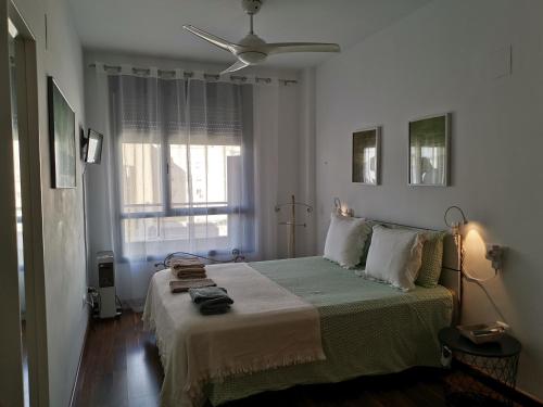  Comfortable Apartment with AirCo - Isaola Oliva in Oliva