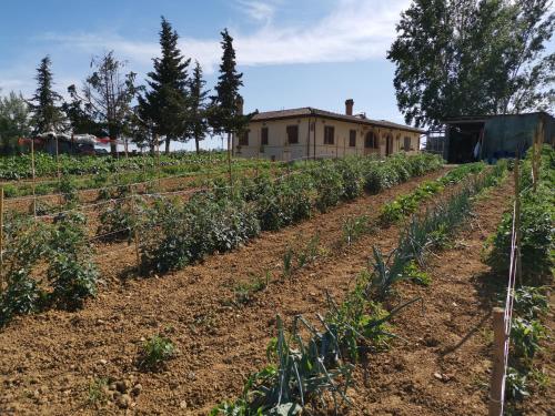 Masseria Le Querciole