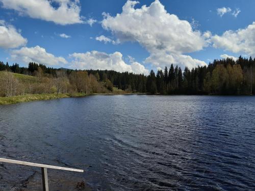 Ferienwohnung am See