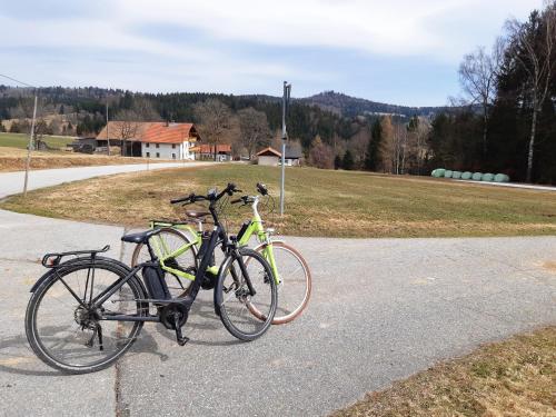 Ferienwohnung am See