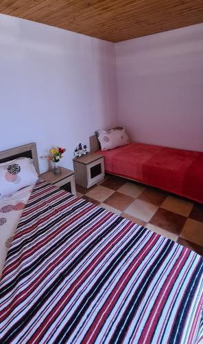 Casa Roko