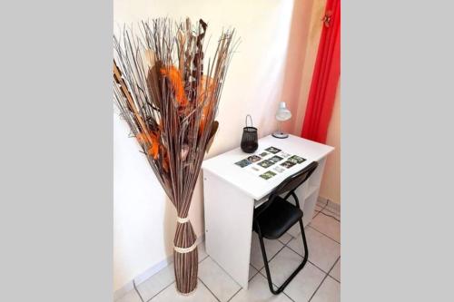Le Moringa, Pointe-Noire (foto 4)