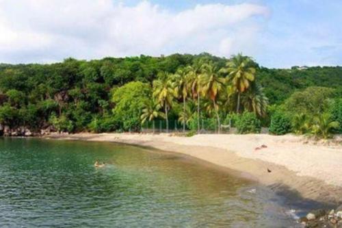 Le Moringa in Pointe-Noire