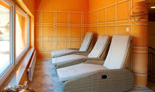Spa, Penzion Salamander in Terchova