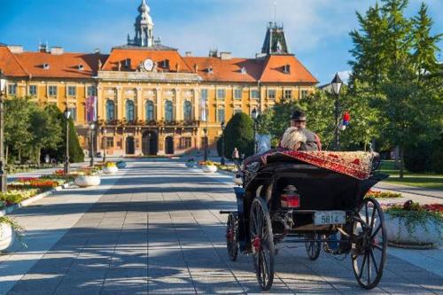 Prenociste Sana Sombor