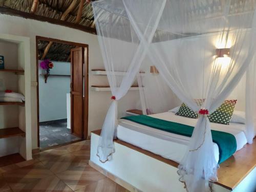 Primaluna Beach Hostel