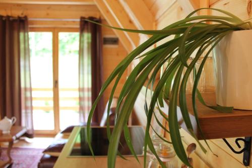 Nadia Dream House - image 9