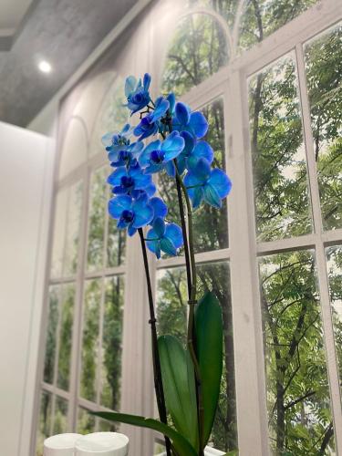 Olympic Suite Roma - image 3