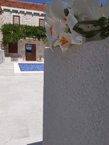 Villa Dragi