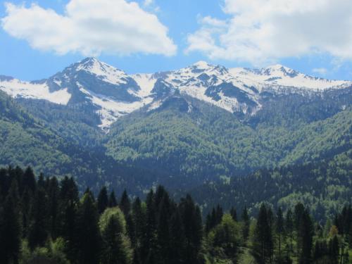 Létesítmények, Apartments Arh in Bohinji-tó